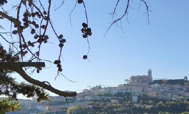 GIORNATA FORMATIVA FERMANA 29 NOVEMBRE 2025