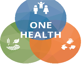 Convegno: “Strategie One Health nel Piano di Prevenzione Locale: un approccio integrato alla salute umana, animale e ambientale”